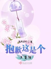 《抱歉这是个大冒险》