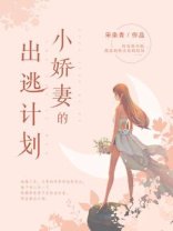 《小娇妻的出逃计划》