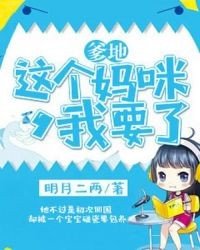 《清穿四爷的老福晋》
