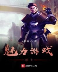 《魅力游戏剑士》