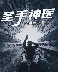 《圣手神医》