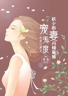 《宠妻无度:权少的闪婚新娘》