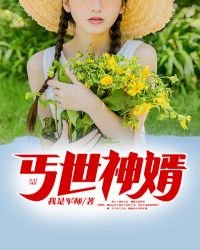 《丐世神婿》