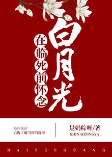 《海上无花也怜侬》