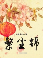 《繁尘锦》