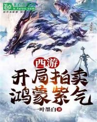 《西游:开局拍卖鸿蒙紫气》
