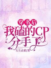 《穿书后我磕的CP分手了》