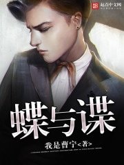 《蝶与谍》