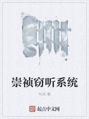 《崇祯窃听系统》