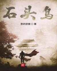 《石头鸟》