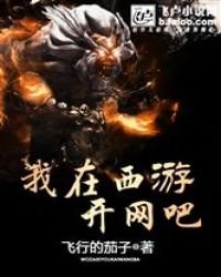 《我在西游开网吧》
