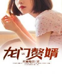 《龙门赘婿》