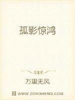 《孤影惊鸿》