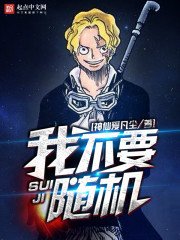 《随机从海贼开始》