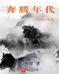 《奔腾年代——向南向北》