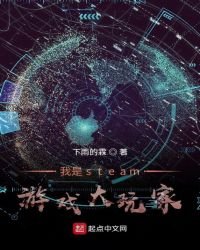 《我是steam游戏大玩家》