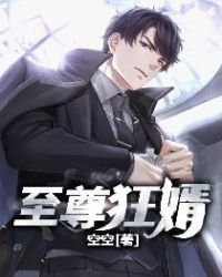 《至尊狂婿》