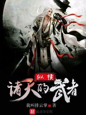 《纵横诸天的武者》