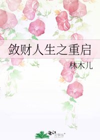 《(BG/综同人)敛财人生之重启》