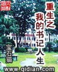 《重生之我的书记人生》