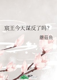 《宸王今天谋反了吗?》