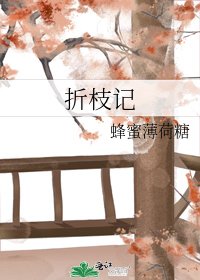 《折枝记》