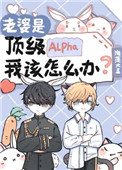 《老婆是顶级Alpha,我该怎么办》