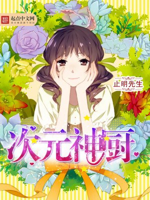 《次元神厨》