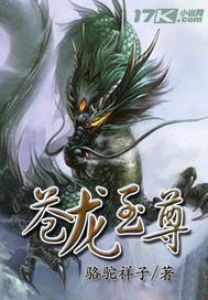 《苍龙至尊》