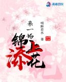 《来一场锦上添花》