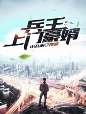 《兵王上门豪婿》