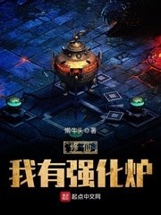 《修仙我有强化炉》