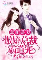 《蠢萌娇妻:傲娇总裁霸道宠!》