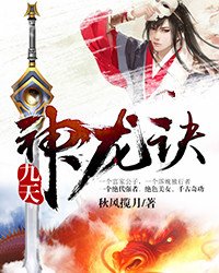 《九天神龙诀》