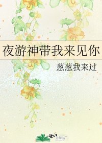《夜游神带我来见你》