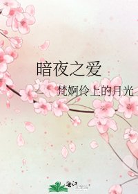 《暗夜之爱》