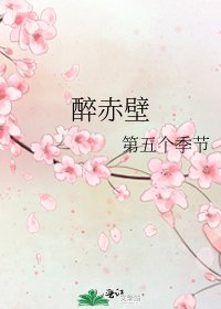 醉赤壁
