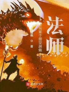 《带玩家手册穿越做法师》