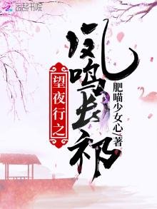 《望夜行之凤鸣长祁》