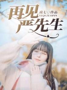 《再见严先生》