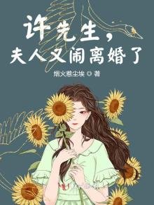 《许先生,夫人又闹离婚了》