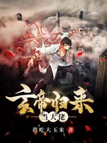 《玄帝归来当大佬》