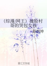 《(综漫同人)(综漫/网王)撞脸村哥的哭包女孩》
