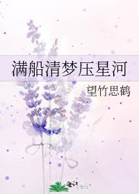 《满船清梦压星河》