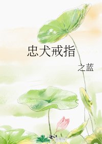 《忠犬戒指》