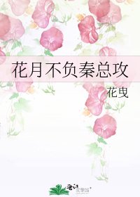 花月不负秦总攻