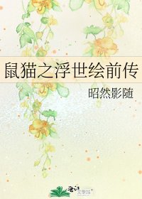 《鼠猫之浮世绘前传》