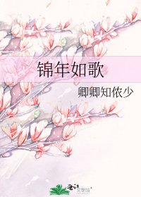《锦年如歌》