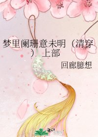 《梦里阑珊意未明(清穿) 上部》