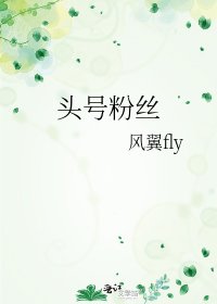 《头号粉丝》